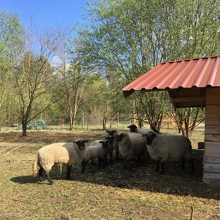 Ferienhaus Ferienhaus Für Bis Zu 4 Personen Zur Seeseite - [#125254] Grobern